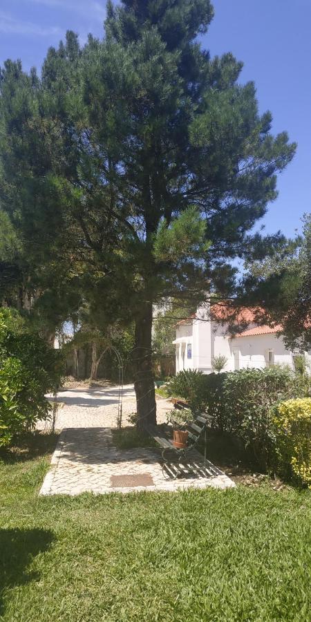 Casa De Arcos Guest House Anadia Exterior photo