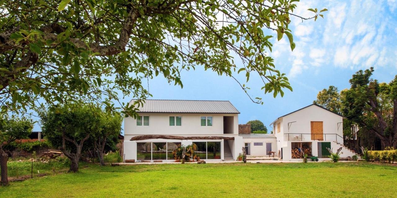 Casa De Arcos Guest House Anadia Exterior photo